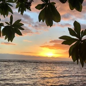 Meet your Posher, Emmylou